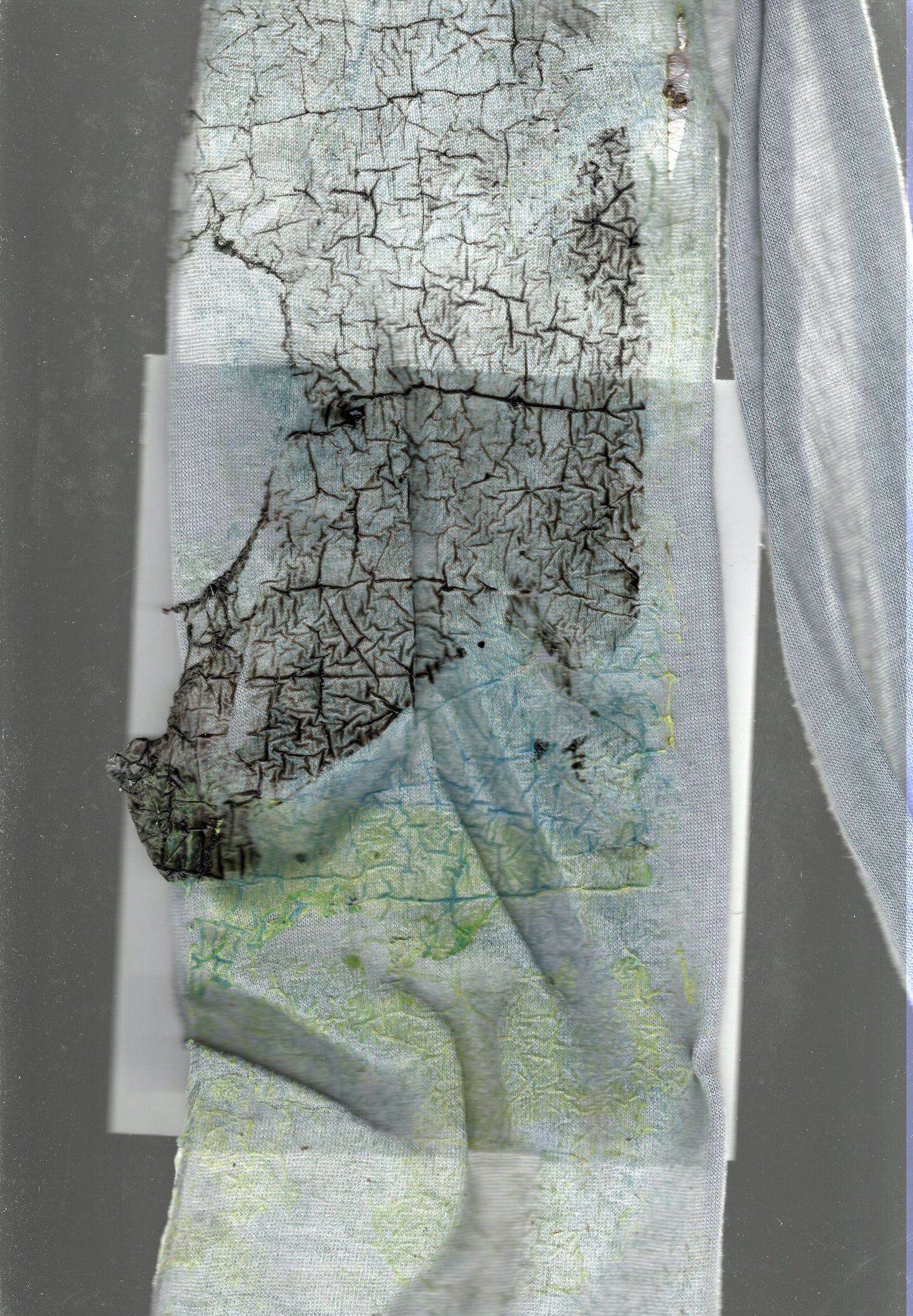 Copy of sOs_2oSLEEVES black butter snake skin