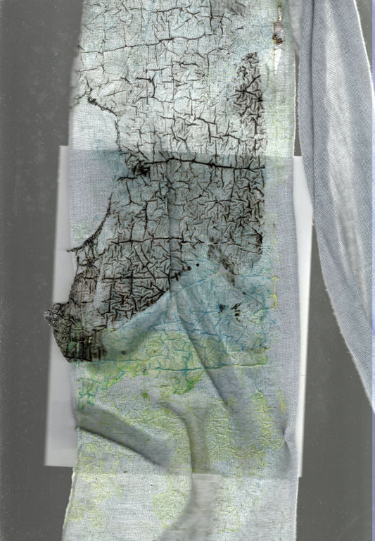 Copy of sOs_2oSLEEVES black butter snake skin